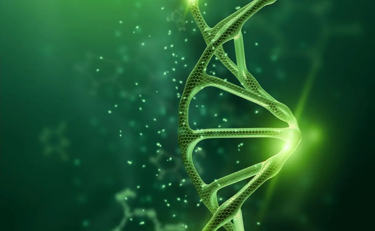 Ilustração de uma hélice de DNA em tons de verde